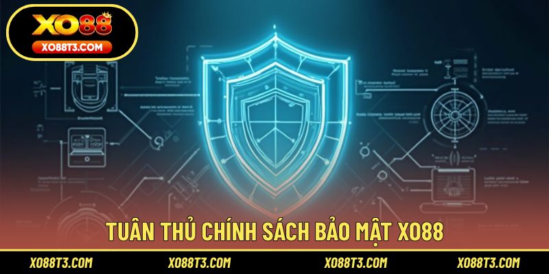 Tuân thủ chính sách bảo mật XO88