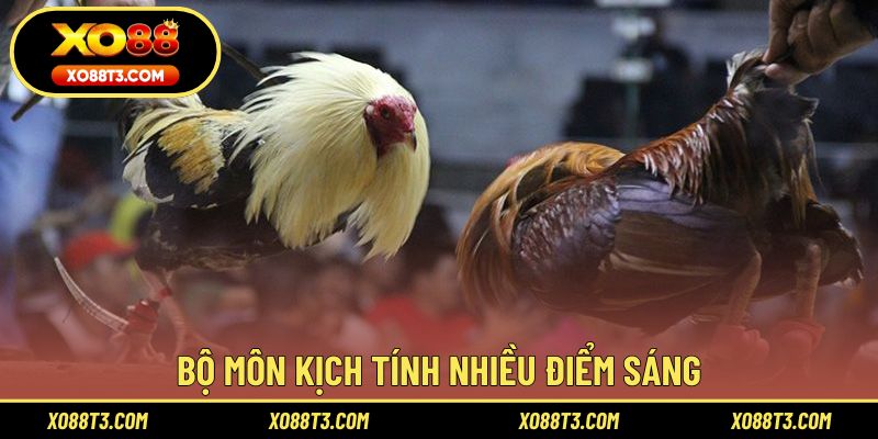Bộ môn kịch tính nhiều điểm sáng