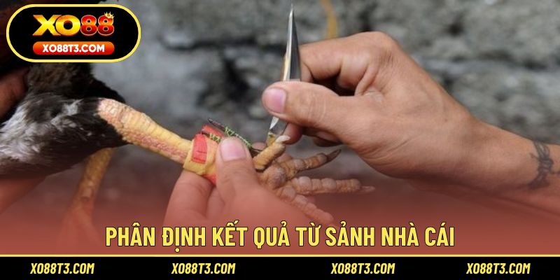 Phân định kết quả từ sảnh nhà cái