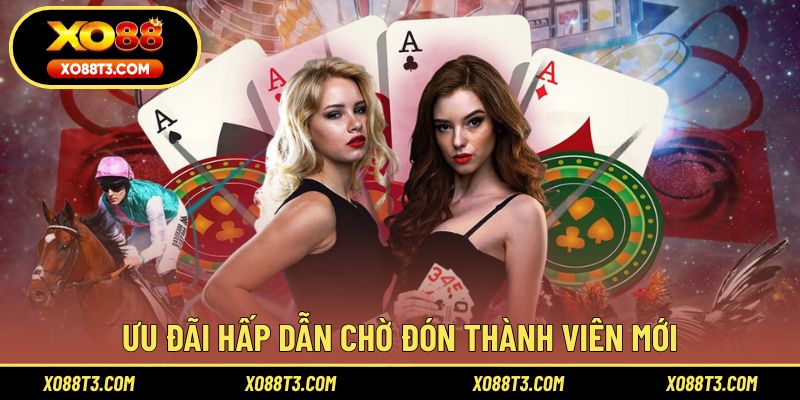Ưu đãi hấp dẫn chờ đón thành viên mới
