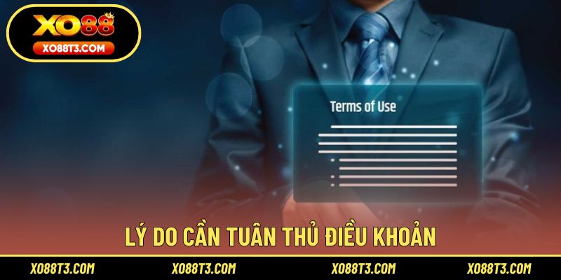 Lý do cần tuân thủ điều khoản điều kiện XO88 khi tham gia