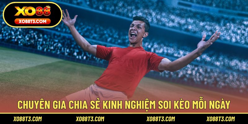 Chuyên gia chia sẻ kinh nghiệm soi kèo mỗi ngày