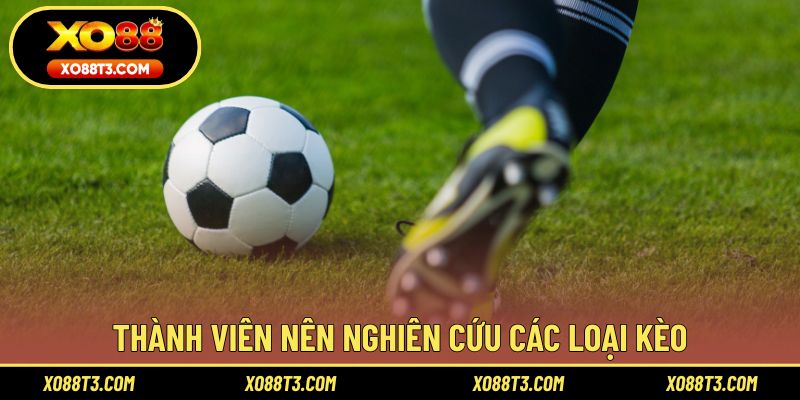 Thành viên nên nghiên cứu các loại kèo