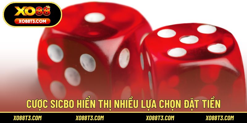 Cược sicbo hiển thị nhiều lựa chọn đặt tiền